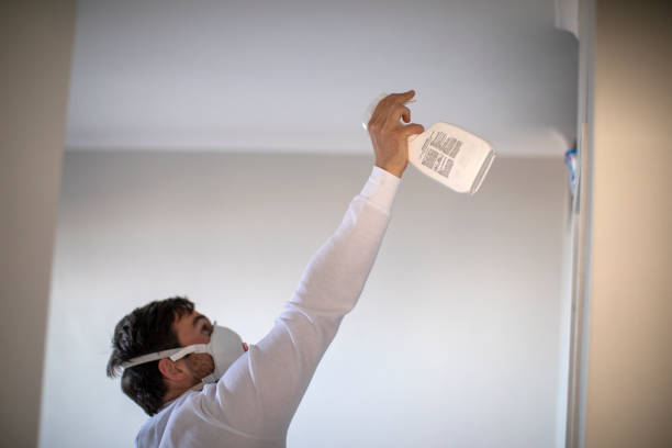 Best Mold Removal and Inspection  in Stonegate, CO