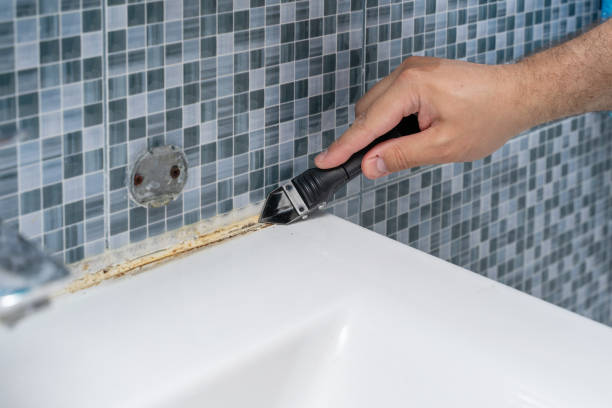 Best Mold Remediation  in Stonegate, CO