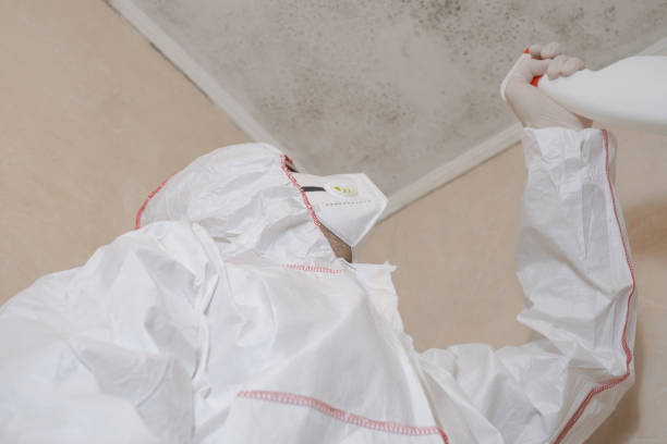 Mold Removal and Inspection in Stonegate, CO